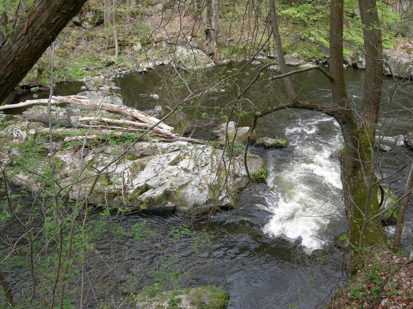 Wandern im Ostharz,Bodetal - Die Bode. ( 1)