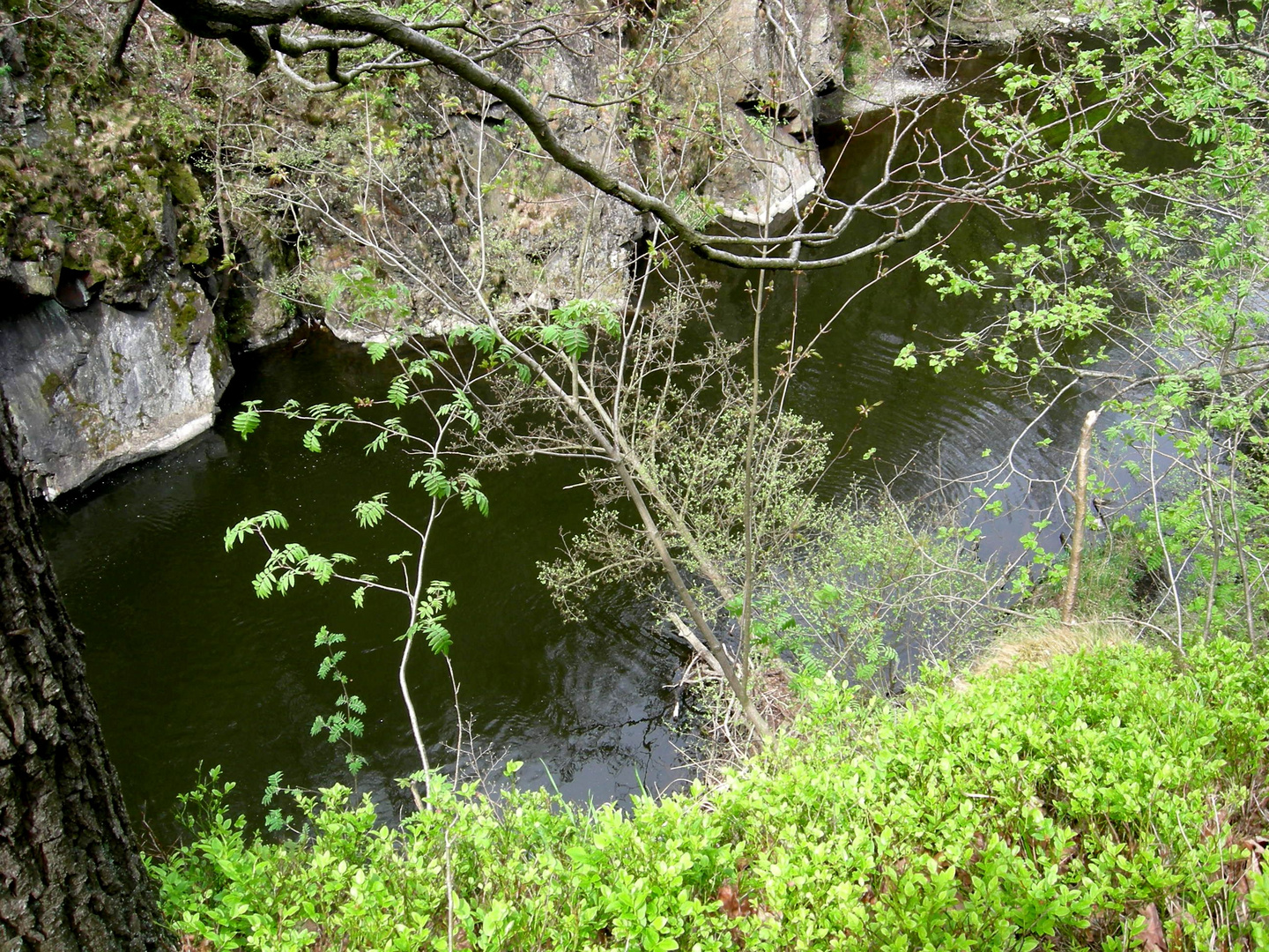 Wandern im Ostharz.Bodetal / Die Bode (2)