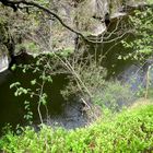 Wandern im Ostharz.Bodetal / Die Bode (2)