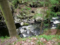 Wandern im Ostharz.Bodetal / Die Bode (3 )