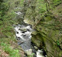 Wandern im Ostharz,Bodetal / Die Bode (4 )