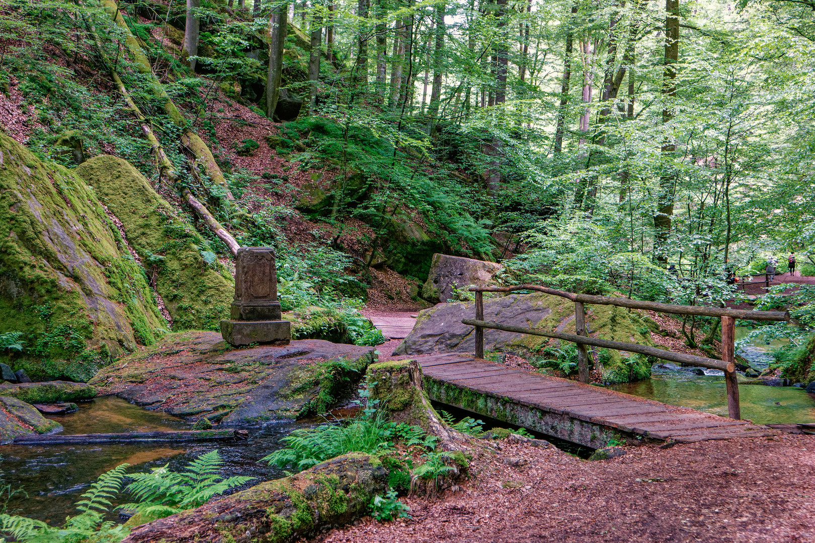 Wandern im Pfälzer Wald Foto & Bild | deutschland, europe, rheinland ...