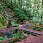 Wandern im Pfälzer Wald