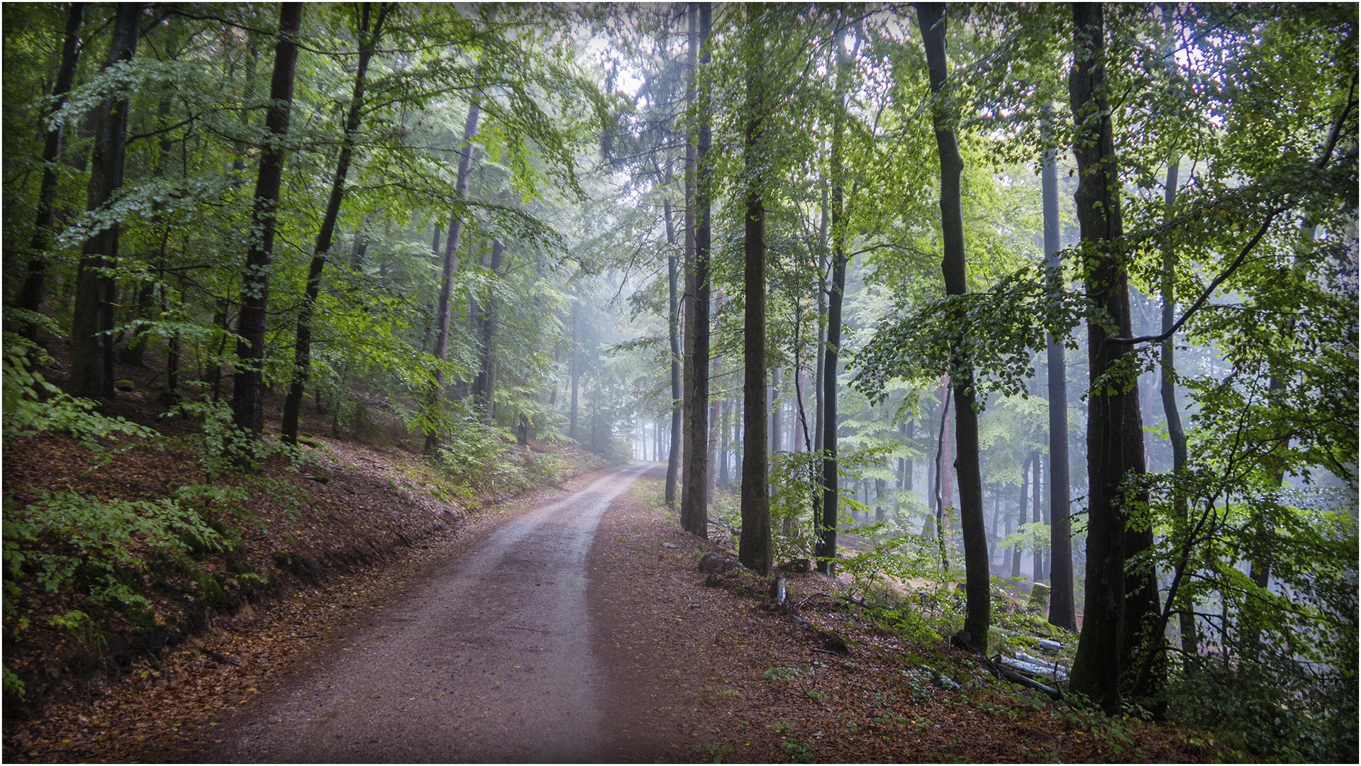 Wandern im Pfälzerwald bei Regen