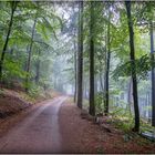 Wandern im Pfälzerwald bei Regen