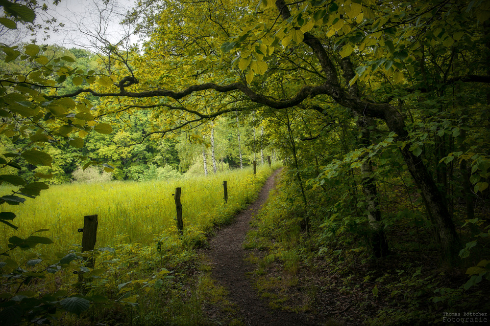 Wandern im Regen