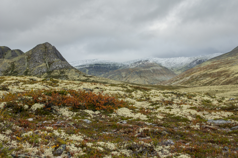 Wandern im Rondane Nationalpark