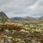 Wandern im Rondane Nationalpark