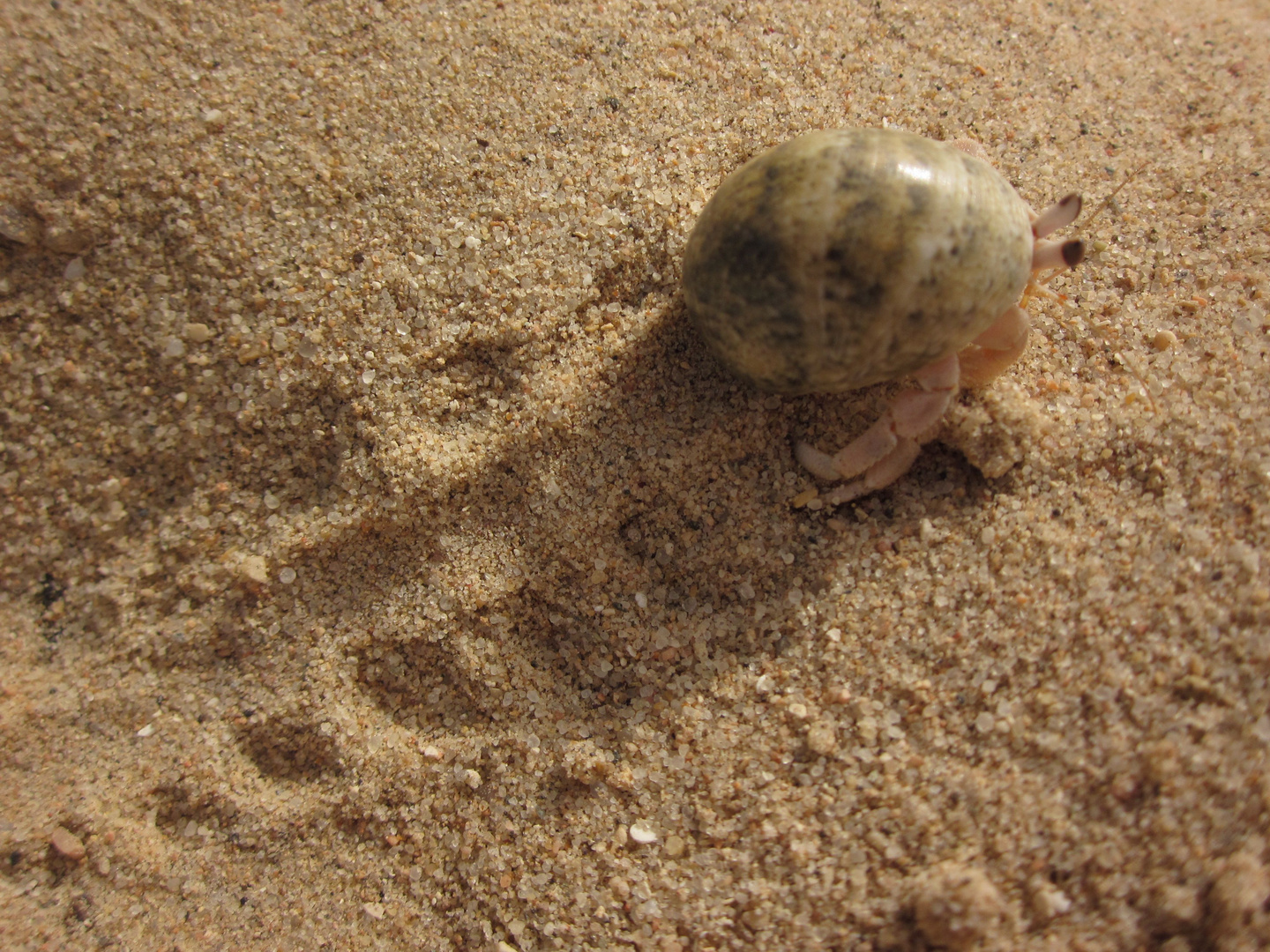 Wandern im Sand