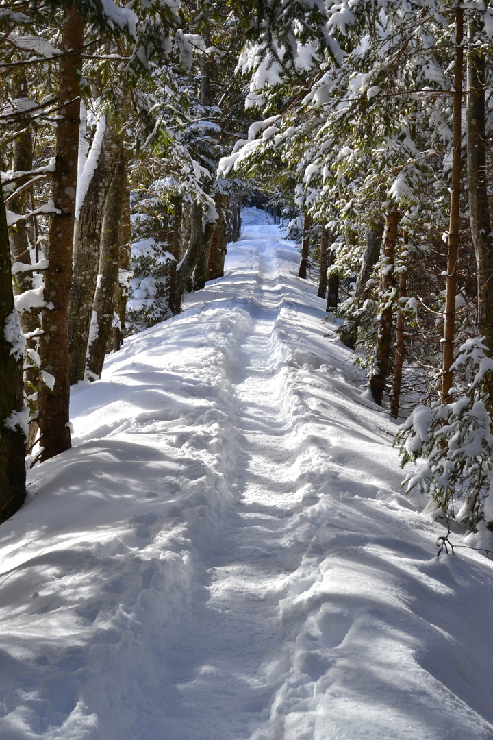 wandern im Schnee