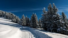 Wandern im Schnee