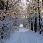 Wandern im Schnee