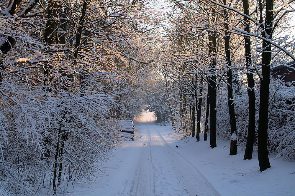 Wandern im Schnee