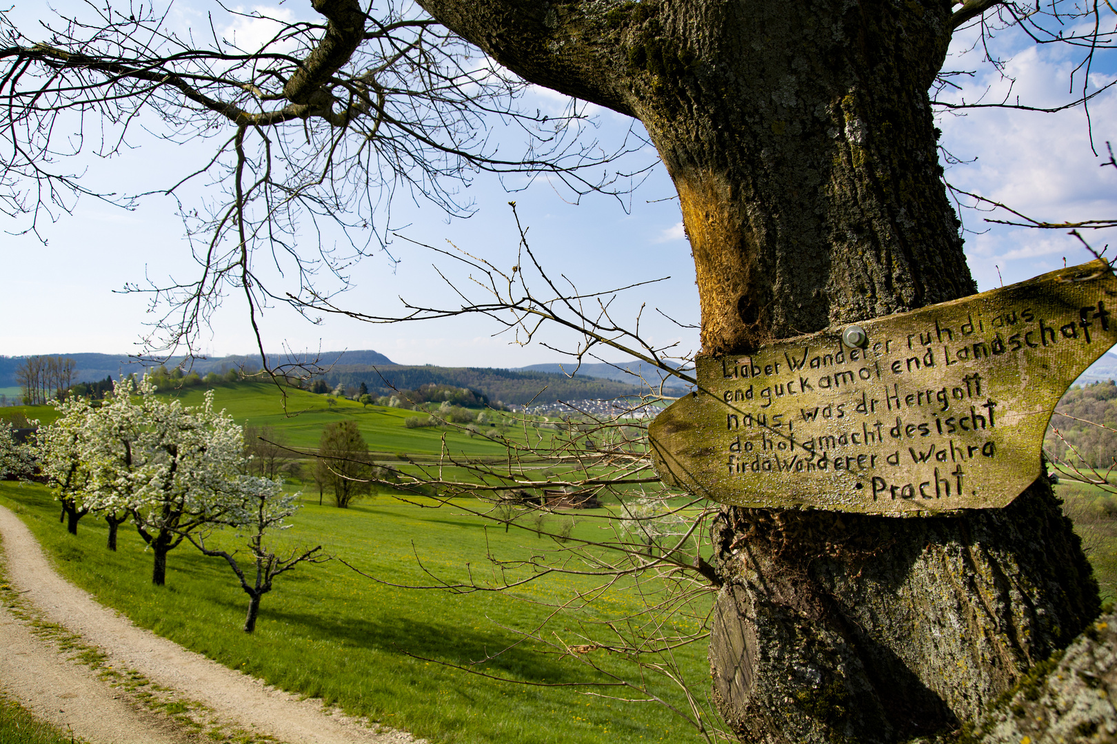 Wandern im Schwäbischen