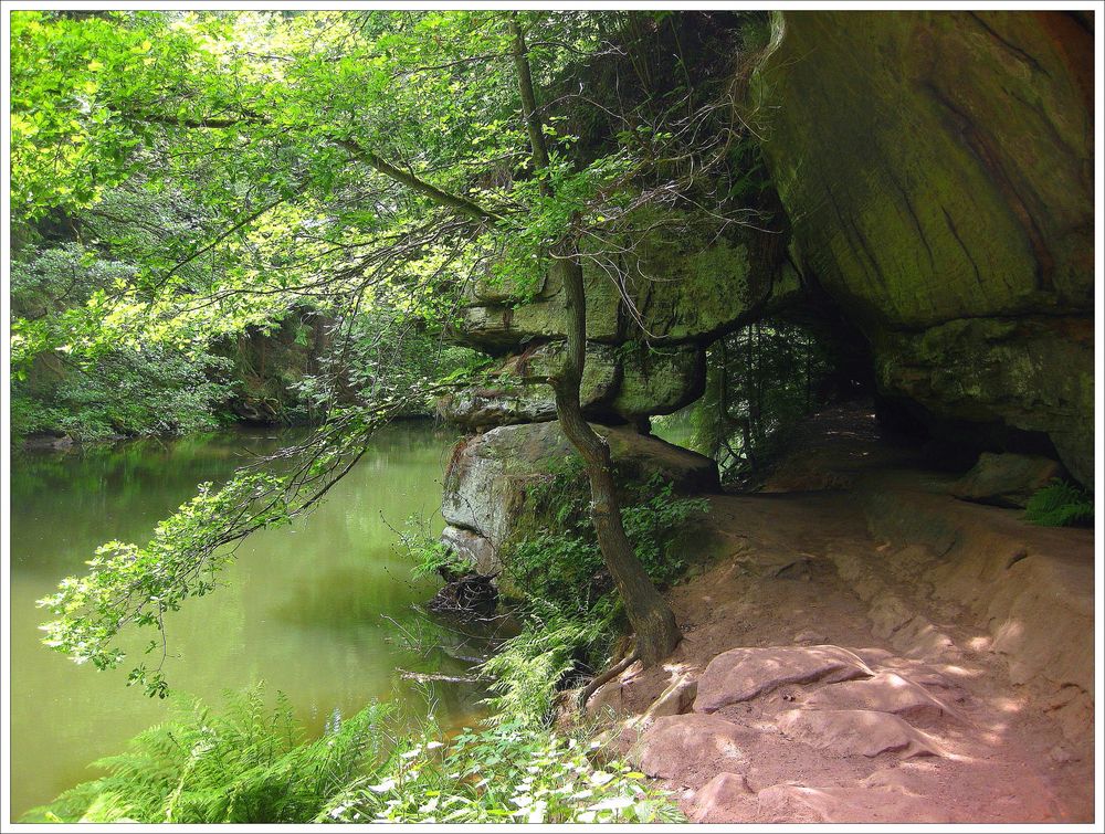 Wandern im Schwarzachtal