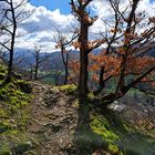 Wandern im Schwarzwald