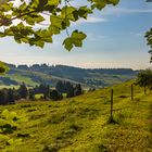 Wandern im Schwarzwald