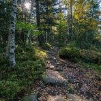 Wandern im Schwarzwald