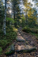 Wandern im Schwarzwald