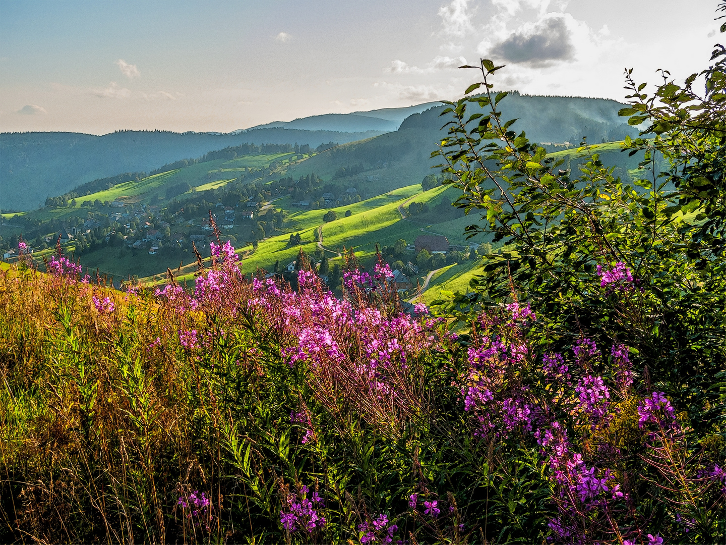 Wandern im Schwarzwald