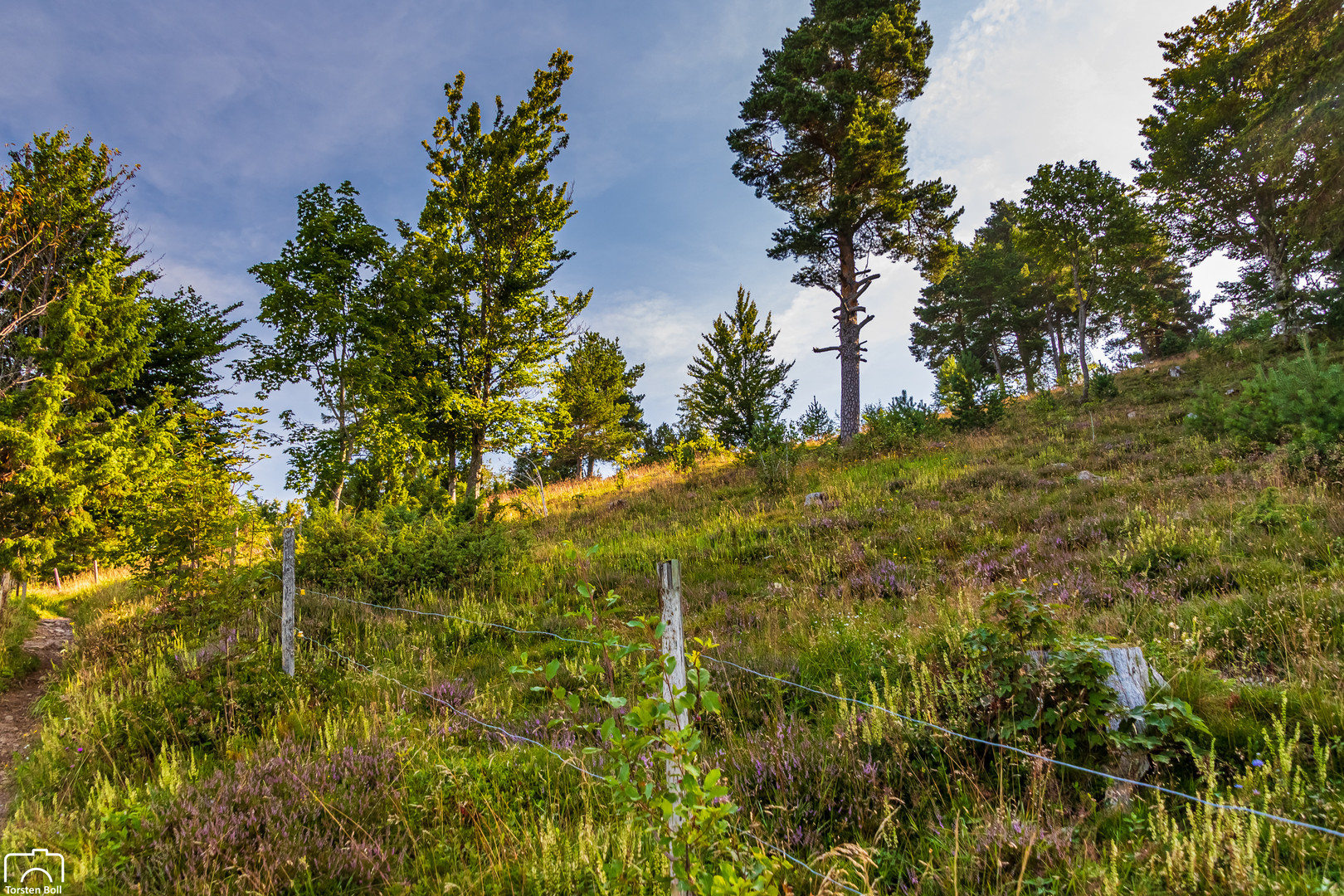 Wandern im Schwarzwald