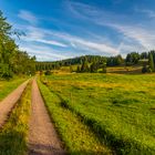 Wandern im Schwarzwald