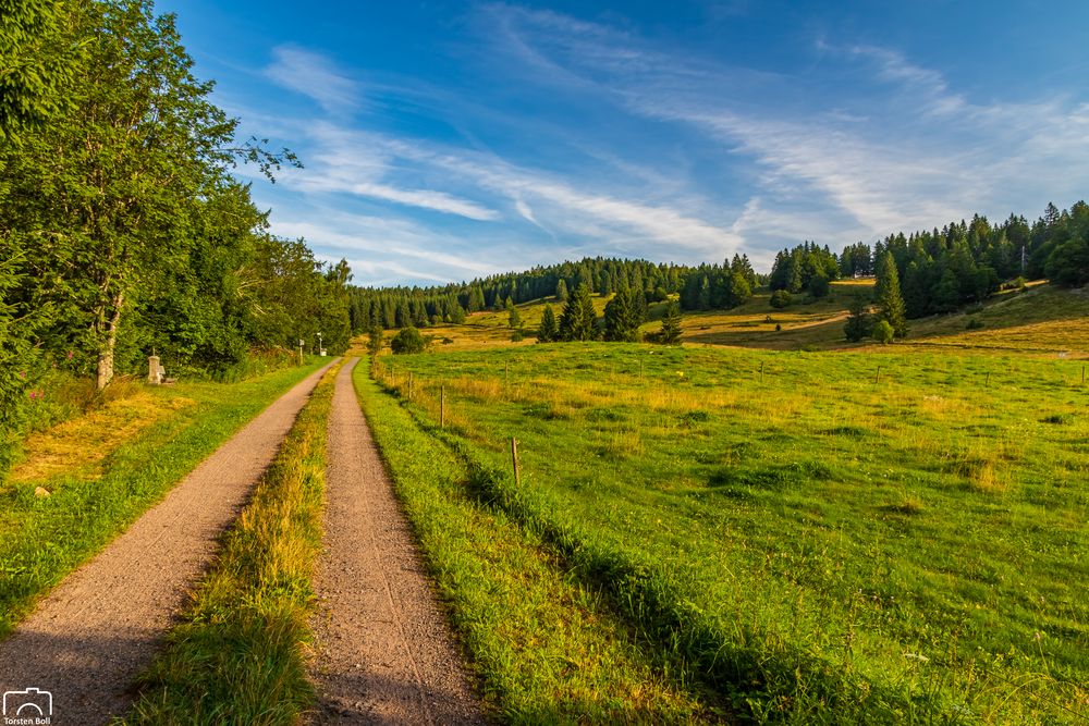 Wandern im Schwarzwald