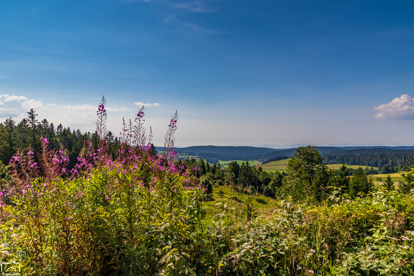 Wandern im Schwarzwald