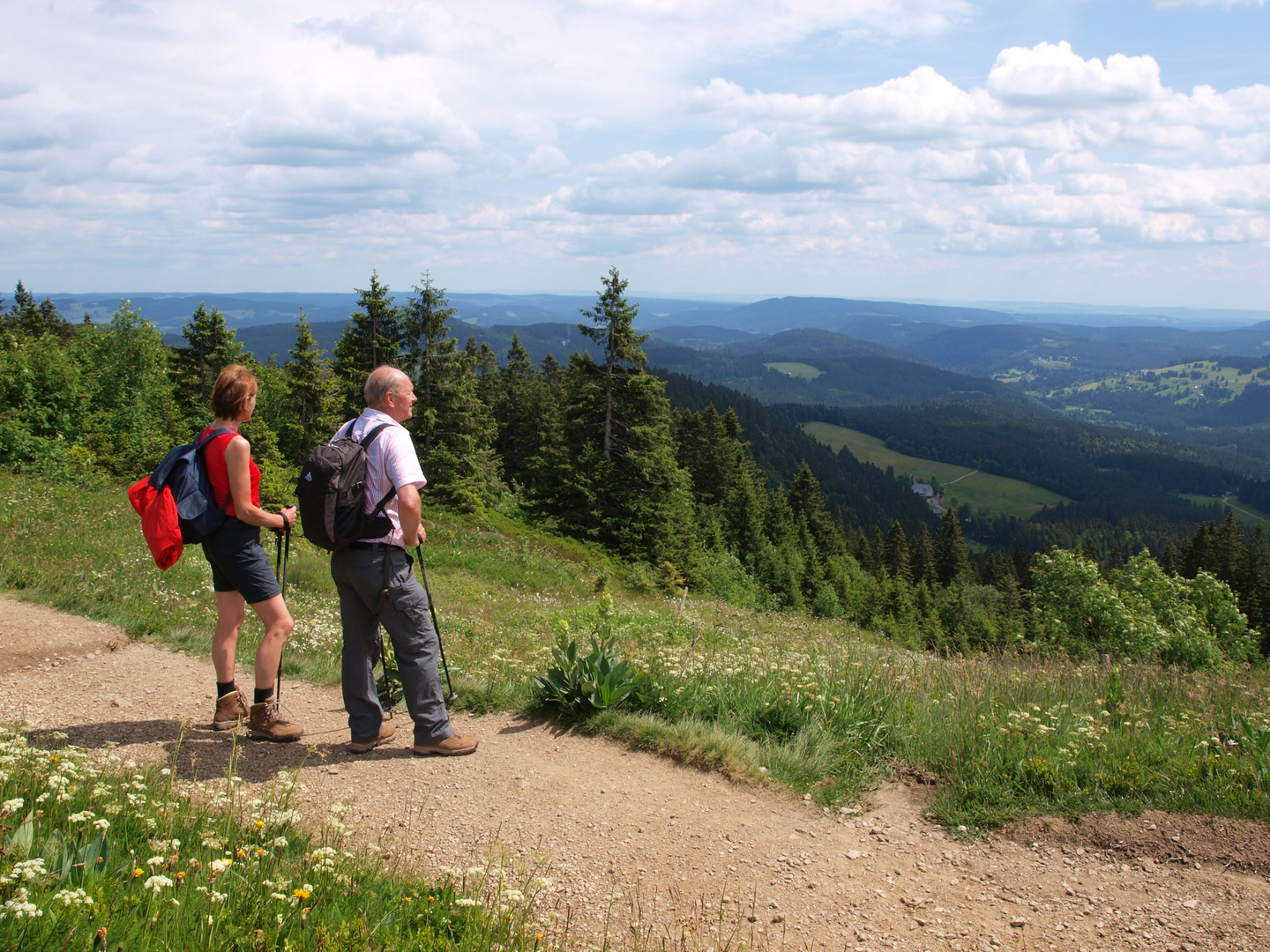Wandern im Schwarzwald - Blick vom Feldberg
