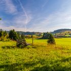 Wandern im Schwarzwald