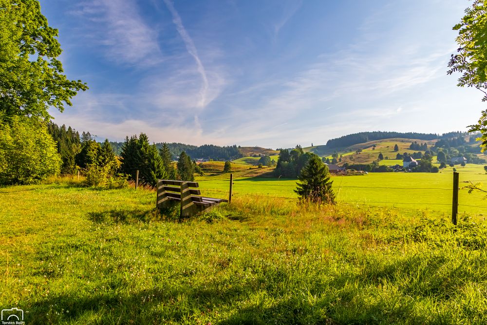 Wandern im Schwarzwald