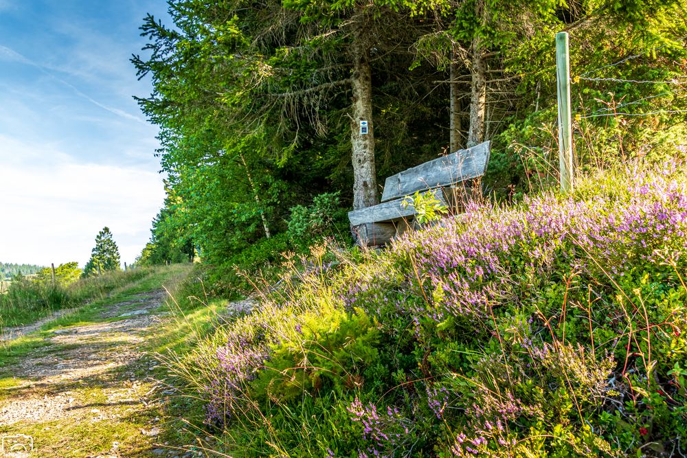 Wandern im Schwarzwald