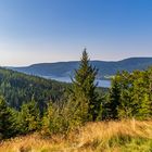 Wandern im Schwarzwald