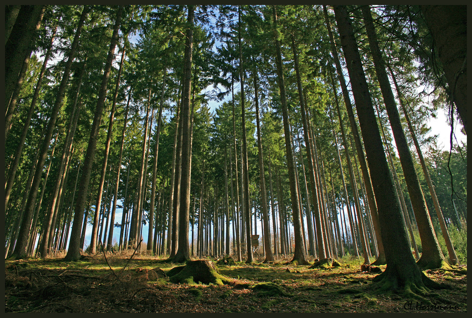 ...wandern im Spessart...