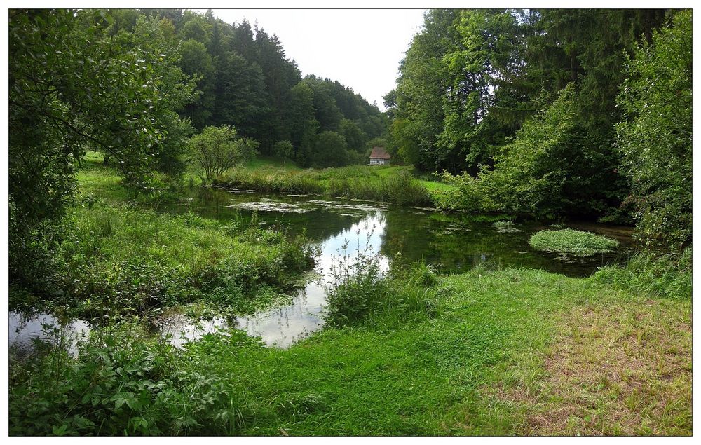 Wandern im Trubachtal