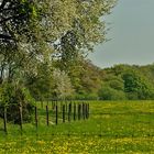 wandern im und oberhalb des Neandertal