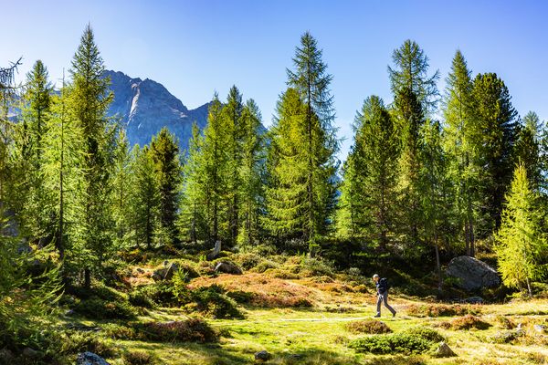 Wandern im Val da Camp