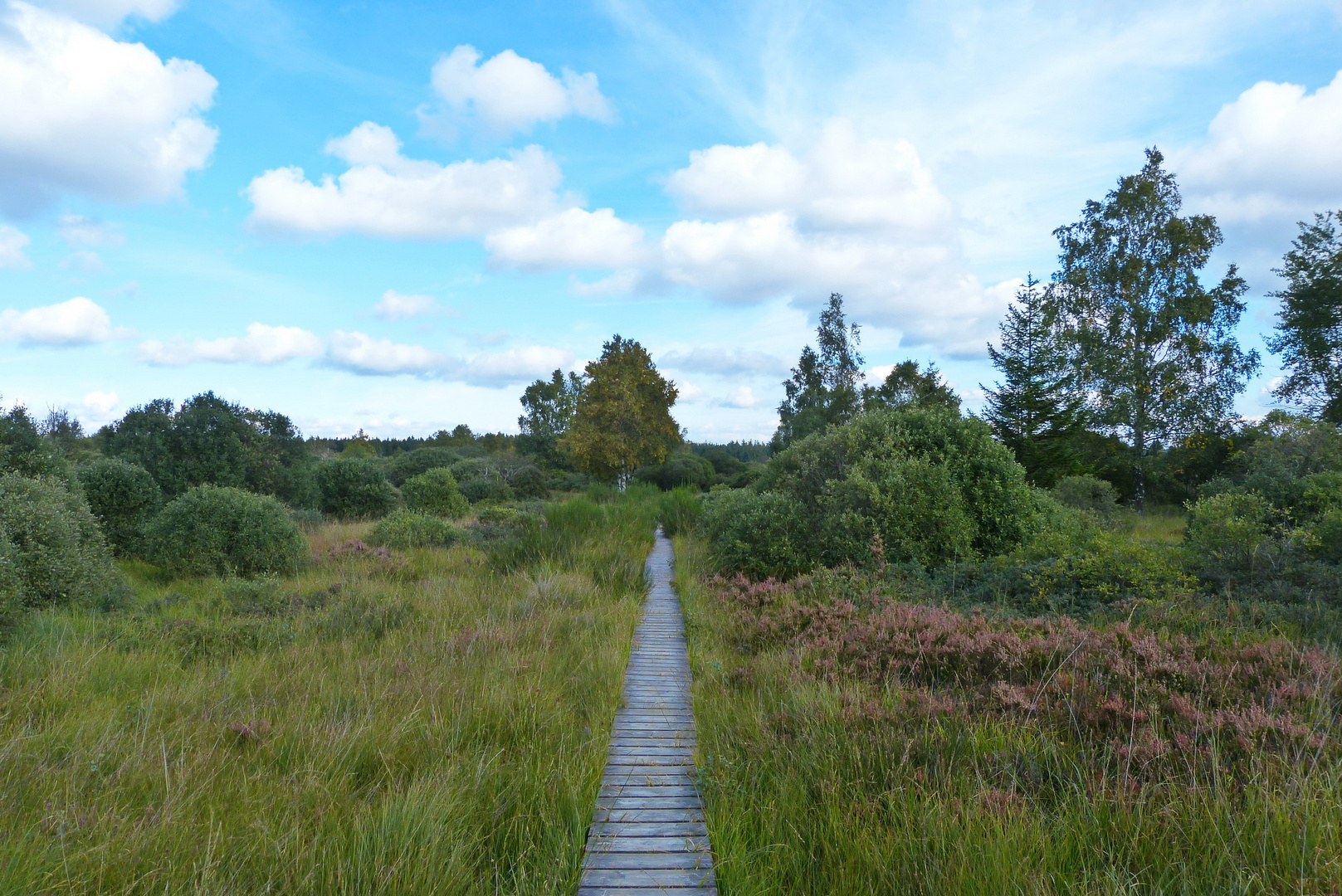 wandern im Venn