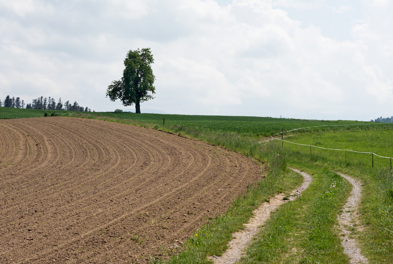 Wandern im Voralpenland (2)