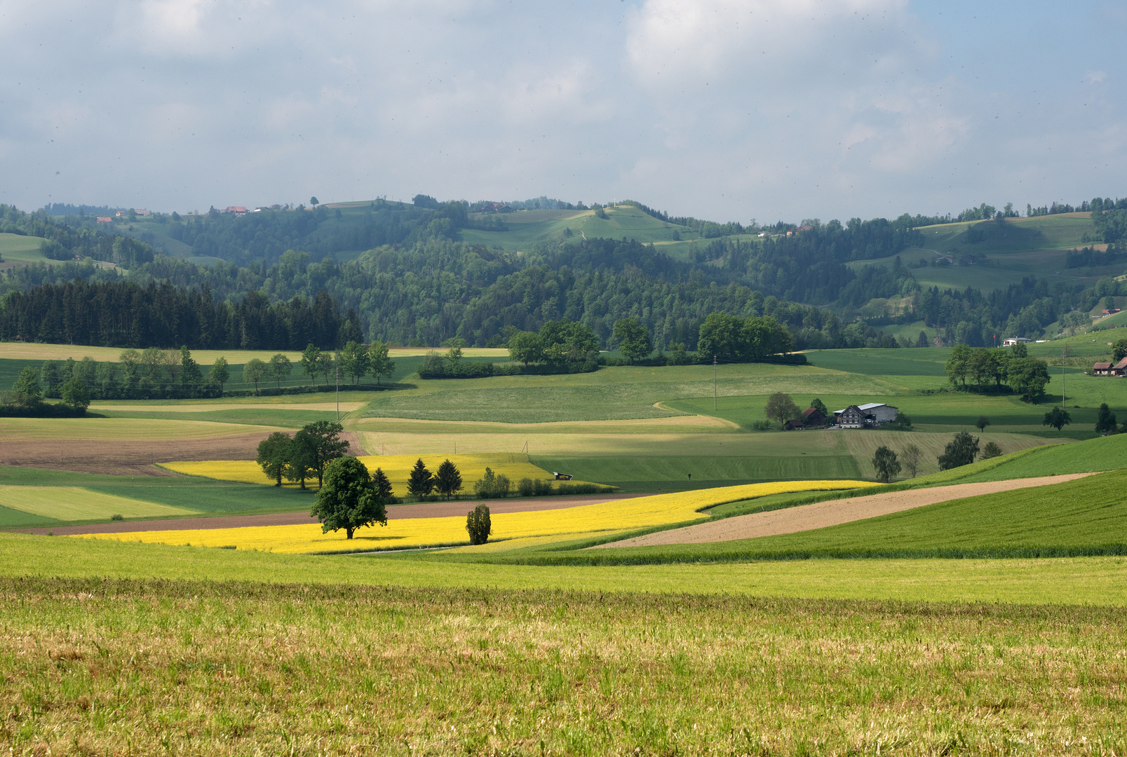 Wandern im Voralpenland (5)