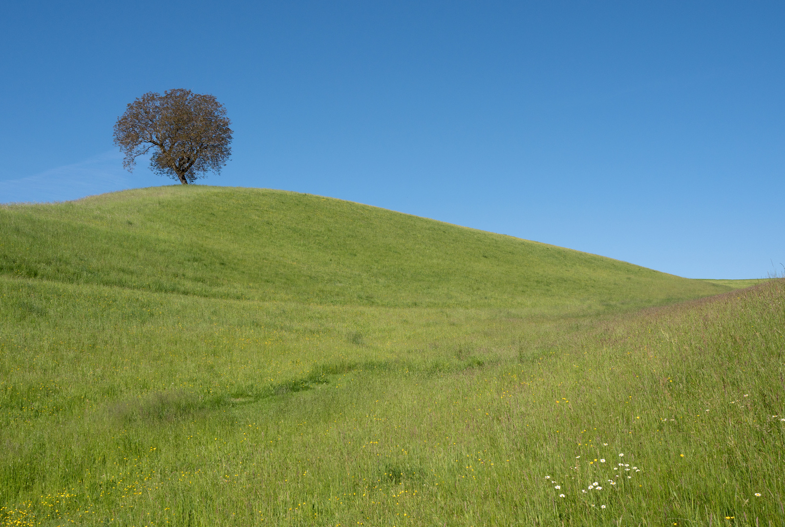 Wandern im Voralpenland (8)