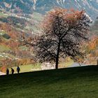 Wandern im Vorarlberg/Bludenz