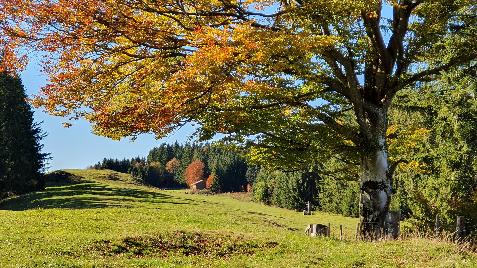 Wandern im warmen Sonnenherbst ...