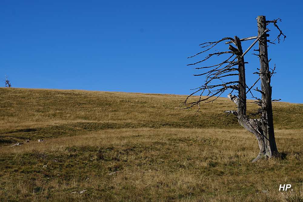 Wandern im Wechselgebiet