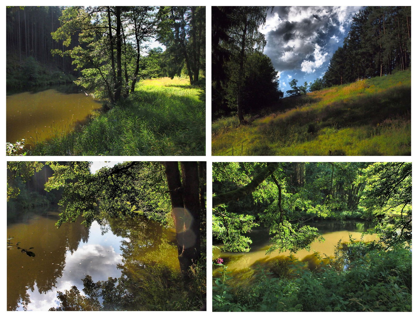 Wandern im Wellertal bei Selb