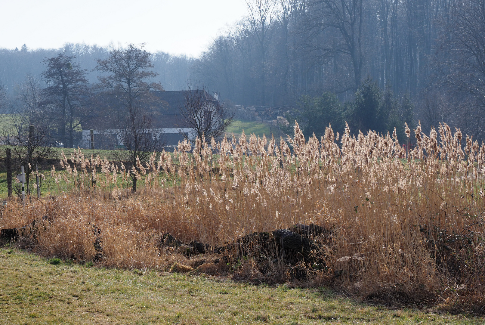 wandern im Wienerwald