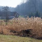 wandern im Wienerwald