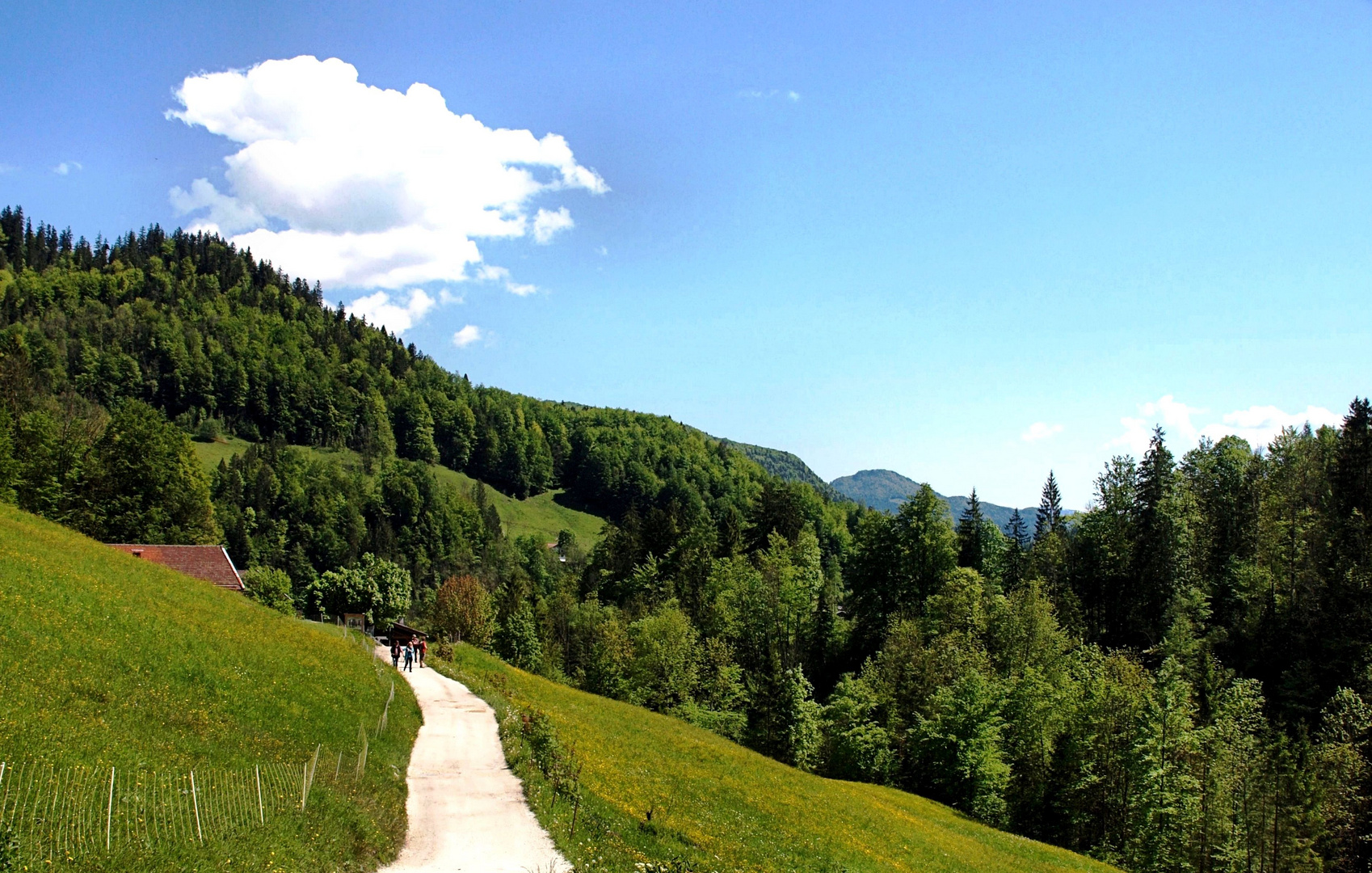 Wandern im Wimbachtal