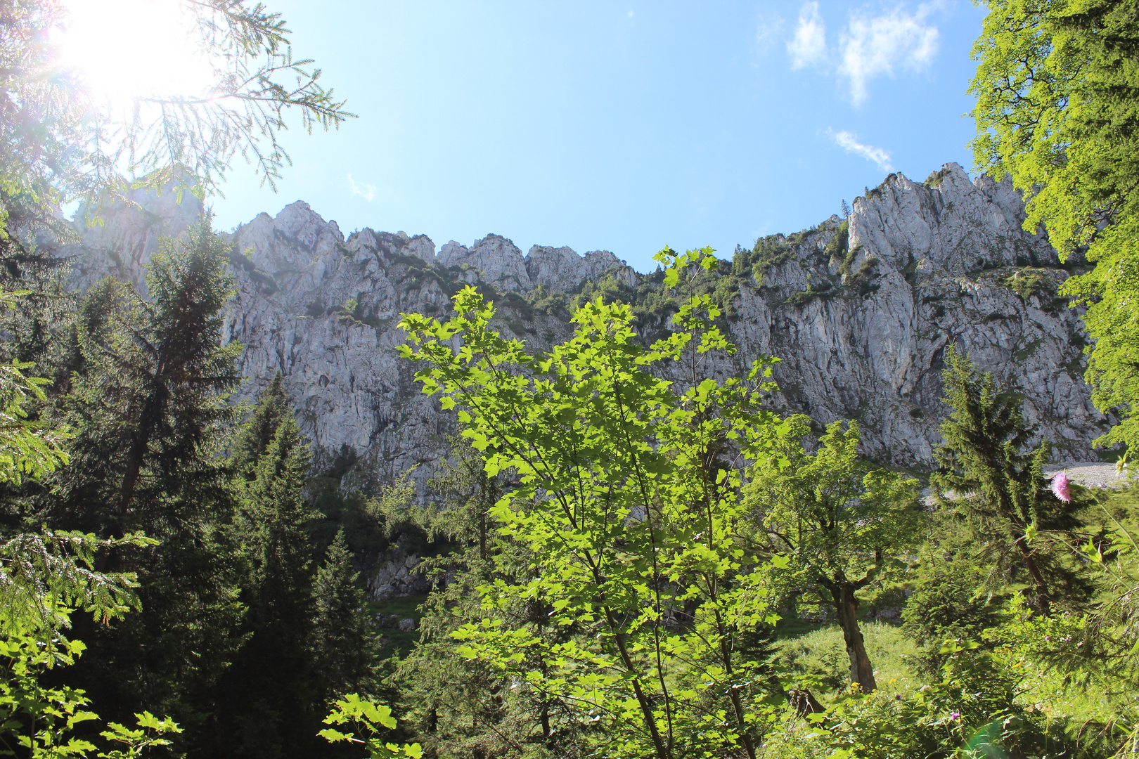 Wandern in Bayern