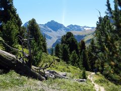 Wandern in Davos